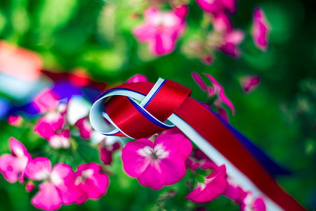 Hand-Fastings and Vow Renewals. Ribbons